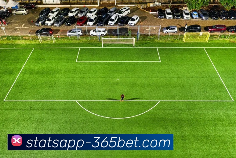 365bet平台生态图